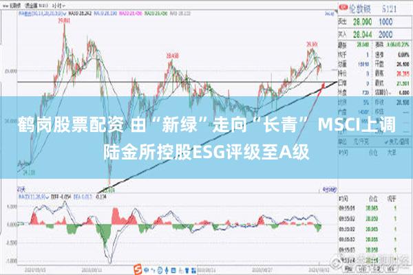 鹤岗股票配资 由“新绿”走向“长青” MSCI上调陆金所控股ESG评级至A级