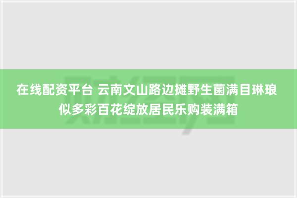 在线配资平台 云南文山路边摊野生菌满目琳琅 似多彩百花绽放居民乐购装满箱