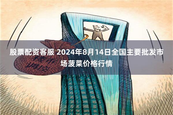 股票配资客服 2024年8月14日全国主要批发市场菠菜价格行情