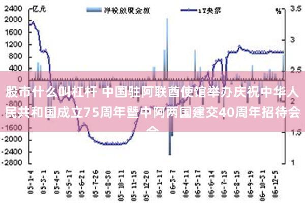 股市什么叫杠杆 中国驻阿联酋使馆举办庆祝中华人民共和国成立75周年暨中阿两国建交40周年招待会