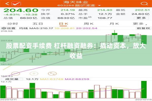 股票配资手续费 杠杆融资融券：撬动资本，放大收益