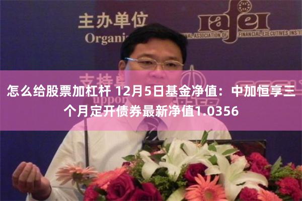 怎么给股票加杠杆 12月5日基金净值：中加恒享三个月定开债券最新净值1.0356