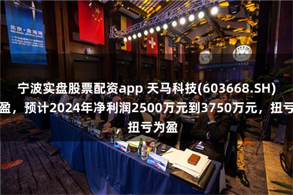 宁波实盘股票配资app 天马科技(603668.SH)发预盈，预计2024年净利润2500万元到3750万元，扭亏为盈