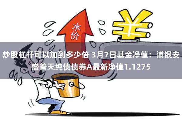 炒股杠杆可以加到多少倍 3月7日基金净值：浦银安盛普天纯债债券A最新净值1.1275